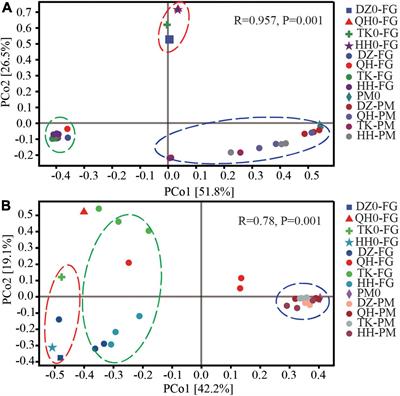 Effects of Different Daqu on Microbial Community Domestication and Metabolites in Nongxiang Baijiu Brewing Microecosystem